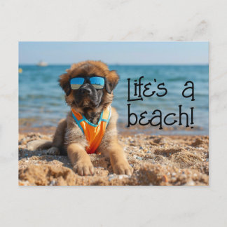 Carte Postale Leonberger Puppy portant des lunettes de soleil ca