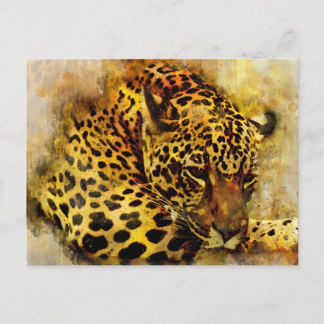 Carte Postale Leopard (Devant)