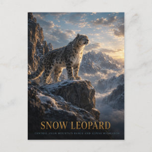 Carte Postale Léopard des neiges Hauts plateaux alpins ANIMAUX