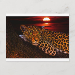 carte postale leopard kitty