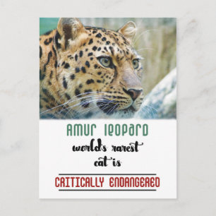 Carte Postale Leopard Protect the Wildlife citation