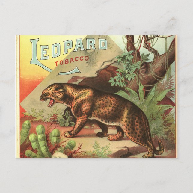 Carte Postale Leopard Tobacco 1900 (Devant)