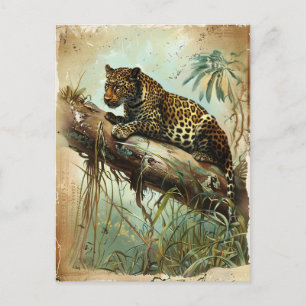 Carte Postale Leopard Vintage
