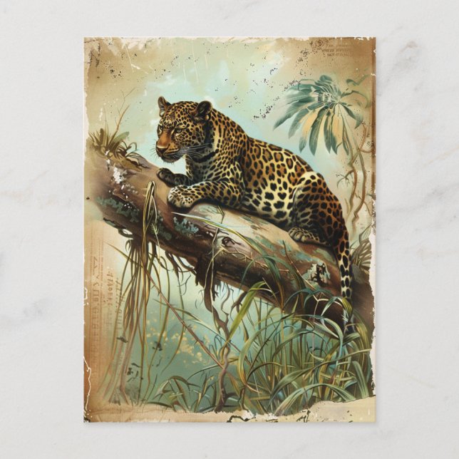 Carte Postale Leopard Vintage (Devant)
