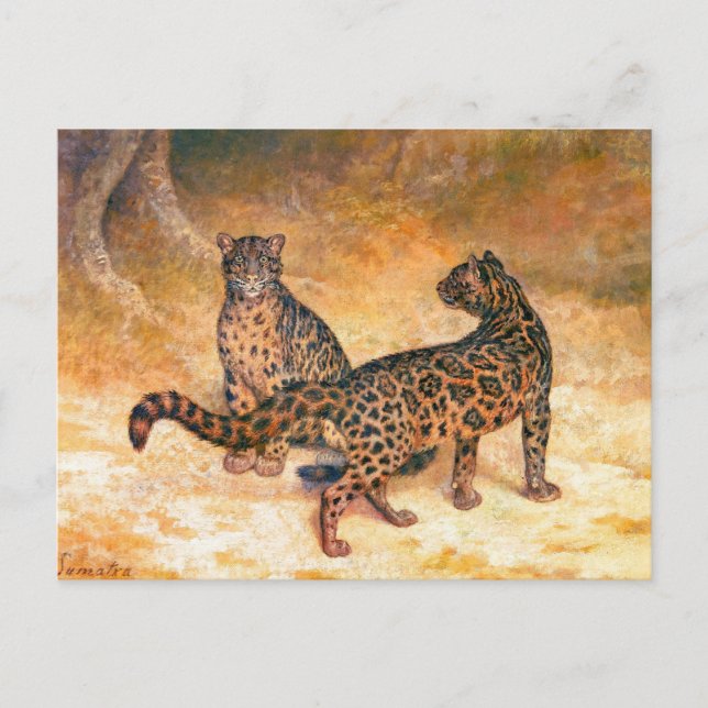 Carte Postale Leopards de Jacques-Laurent Agasse (Devant)