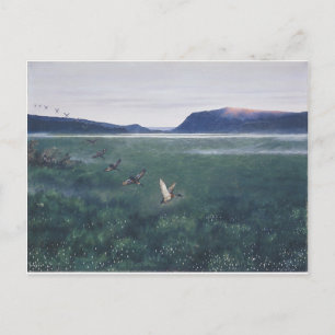 Carte Postale Les 12 canards sauvages 12 villender par Theodor S