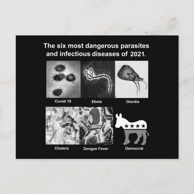 Carte Postale Les 6 parasites les plus dangereux & infectieux 20 (Devant)