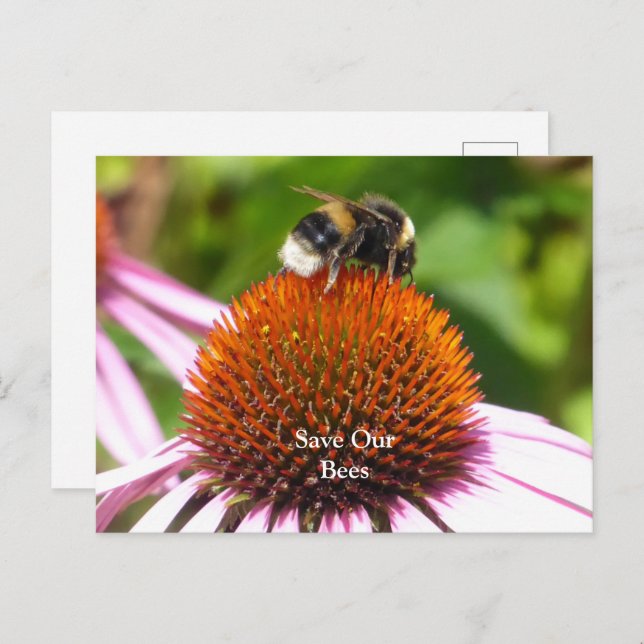 CARTE POSTALE LES ABEILLES (Devant / Derrière)
