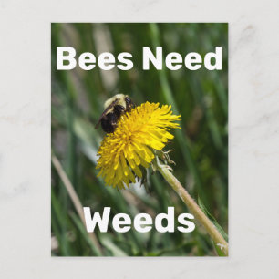 Carte Postale Les abeilles ont besoin de mauvaises herbes