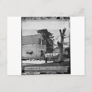 Carte Postale Les Afro-Américains préparent le coton vers 1862