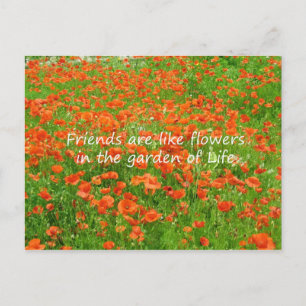 Carte Postale Les Amis Sont Comme Des Fleurs