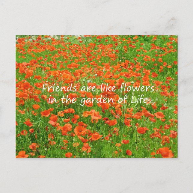Carte Postale Les Amis Sont Comme Des Fleurs (Devant)