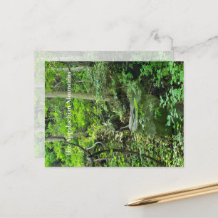 Carte Postale Les Appalaches