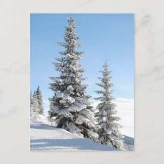 Carte Postale Les arbres à collines