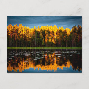 Carte Postale Les arbres jaunes au bord d'un lac