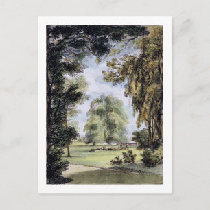 Carte Postale Les arbres soeurs, Jardins Kew, plaque 8 de 'Kew G