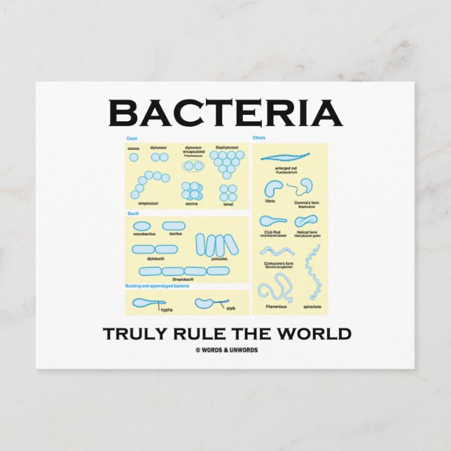 Carte Postale Les bactéries gouvernent réellement le monde (morp (Devant)
