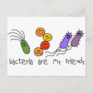 Carte Postale Les bactéries sont mes amis
