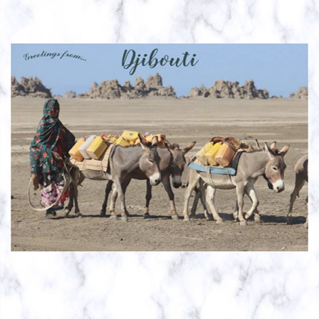 Carte Postale Les bêtes de Burden à Djibouti (Créateur téléchargé)