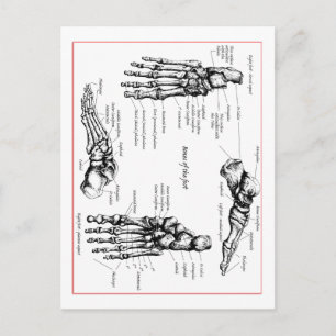 Carte Postale Les bonus de foot.