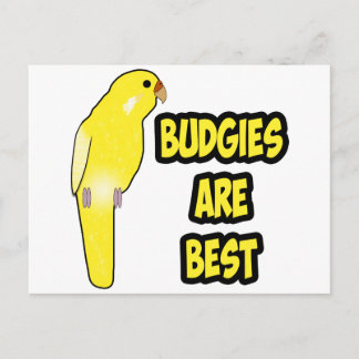 Carte Postale Les Budgies sont les meilleurs
