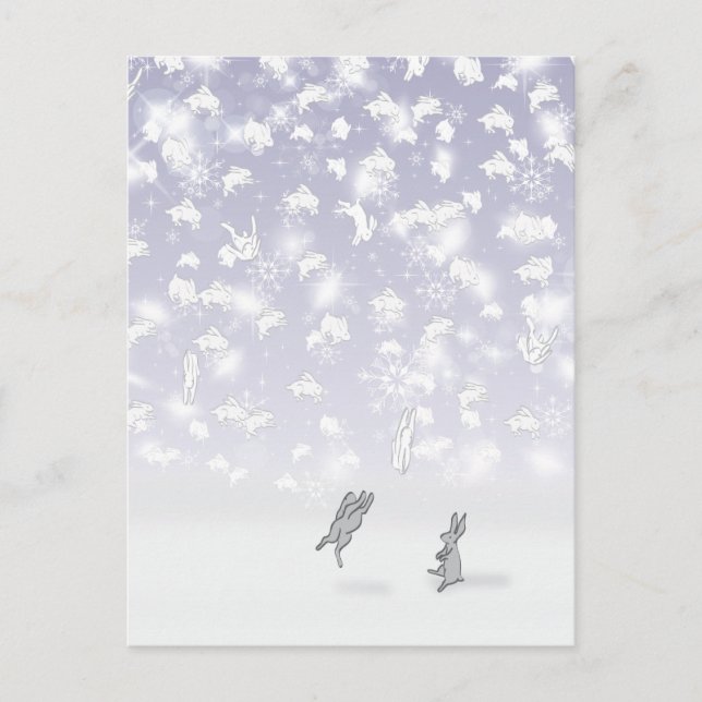 CARTE POSTALE LES BUNNIES DE SOLDOTNA, ALASKA (Devant)