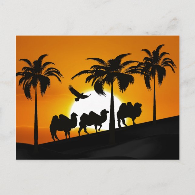 Carte Postale Les camps du désert au coucher du soleil (Devant)