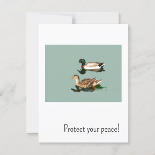 Carte Postale Les canards. Protégez votre paix