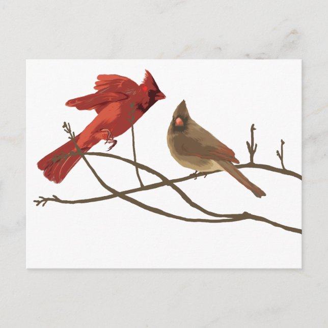Carte Postale Les cardinaux rouges des festivals (Devant)