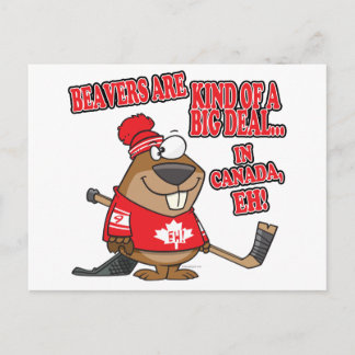 Carte Postale les castors sont un peu gros au canada