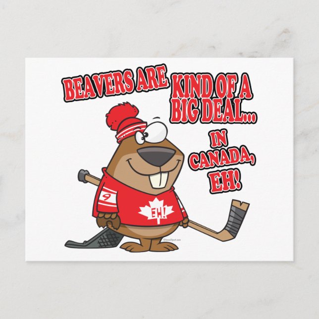 Carte Postale les castors sont un peu gros au canada (Devant)