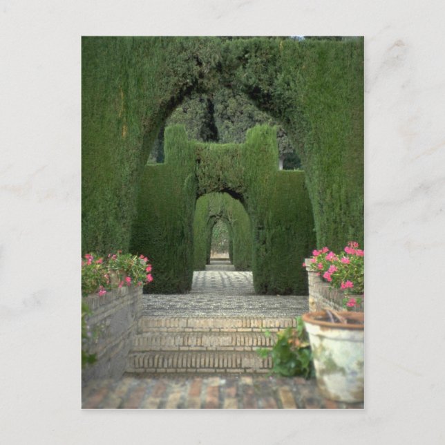 Carte Postale Les célèbres jardins de l'Alhambra, Grenade, Espag (Devant)