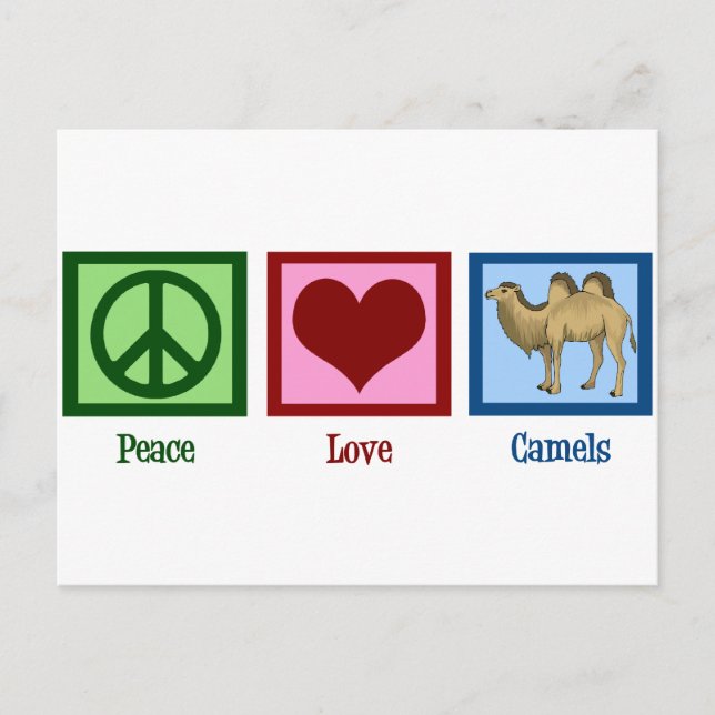 Carte Postale Les chameaux Peace Love (Devant)