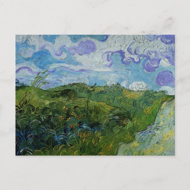 Carte Postale Les champs de blé vert par Vincent van Gogh (Devant)