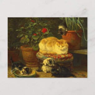 Carte Postale Les chatons en jeu