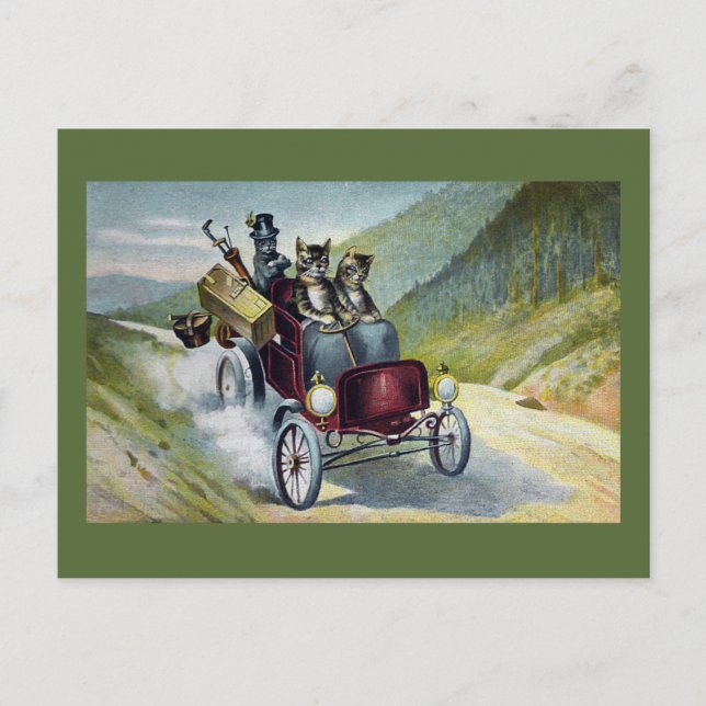 Carte Postale Les chats en vacances dans les Catskill (Devant)