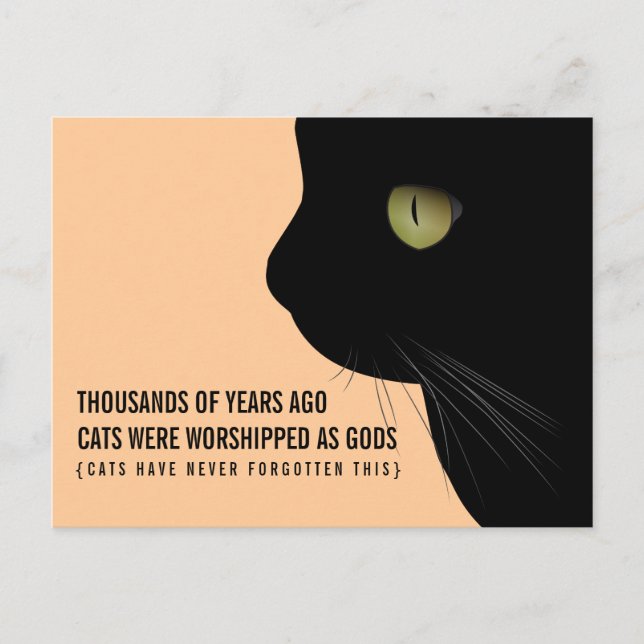 Carte Postale Les chats étaient adorés comme des dieux amusant c (Devant)