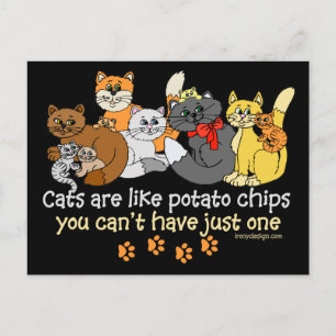 Carte Postale Les chats sont comme des chips