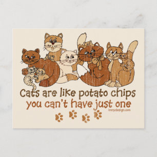 Carte Postale Les chats sont comme des chips