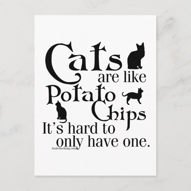 Carte Postale Les chats sont comme des pommes chips… (Devant)