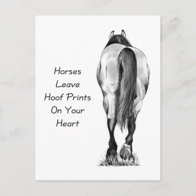 Carte Postale Les Chevaux Laissent Des Empreintes Hoofprint Sur  (Devant)