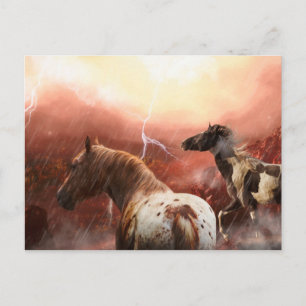 CARTE POSTALE LES CHEVAUX SAUVAGES DÉSERTENT LA TEMPÊTE
