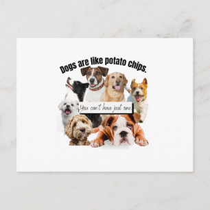 Carte Postale les chiens sont comme des chips, on ne peut pas av