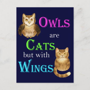 Carte Postale Les chouettes sont des chats avec des ailes