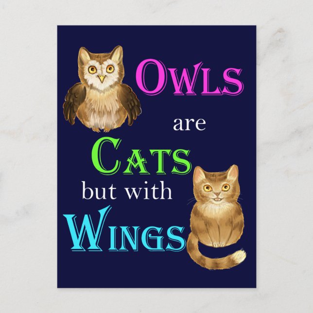 Carte Postale Les chouettes sont des chats avec des ailes (Devant)