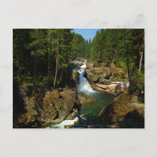 Carte Postale Les chutes d'argent au parc national du Mont Raini (Devant)