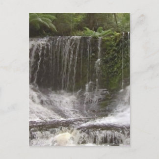 Carte Postale Les chutes d'Oasis en Tasmanie au sud de l'Austral