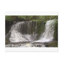 Les chutes d'Oasis en Tasmanie au sud de l'Austral