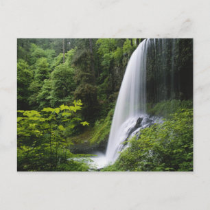 Carte Postale Les chutes Middle North, Silver Falls State Park,