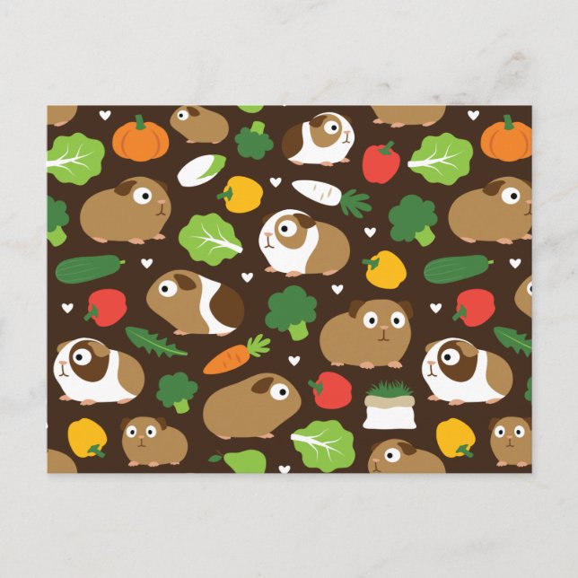 Carte Postale Les Cochons De Guinée Et Leurs Traitements (Devant)